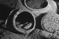   Took trip Truk Lagoon amazing place some scenes.Gas Mask within one wrecks just reminders loss life. scenes. scenes life  